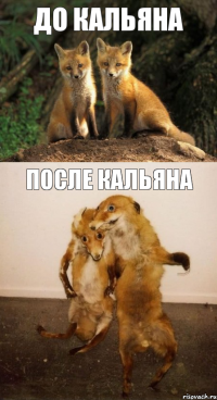 До кальяна после кальяна