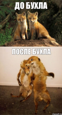 до бухла после бухла