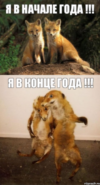 я в начале года !!! я в конце года !!!