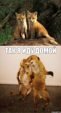  так я иду домой