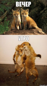 вечер утро