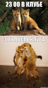 23 00 В клубе 3 00 после клуба