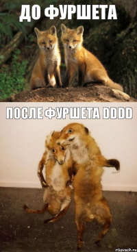 До фуршета После фуршета DDDD