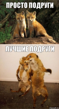 Просто подруги Лучшие подруги