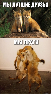 мы лутшие друзья мы враги