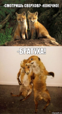 -Смотришь сверхов? -Конечно! -Братуха!