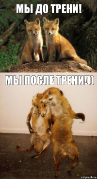 Мы до трени! мы после трени!))