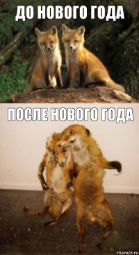 До нового года после нового года