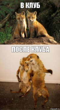 в клуб после клуба