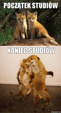 Początek studiów Koniec studiów