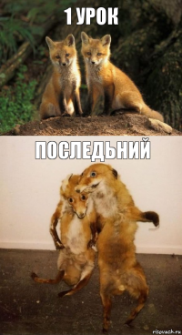 1 урок последьний