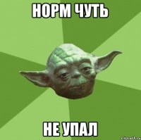 норм чуть не упал