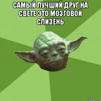 самый лучший друг на свете это мозговой слизень 