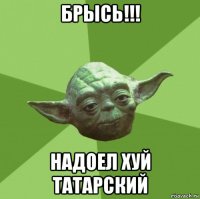 брысь!!! надоел хуй татарский