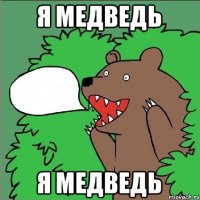 Я медведь Я медведь