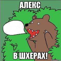 АЛЕКС В ШХЕРАХ!