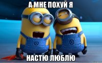 А мне похуй я Настю люблю