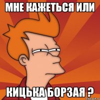 Мне кажеться или Кицька борзая ?