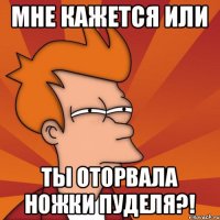 Мне кажется или ты оторвала ножки пуделя?!