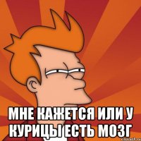  Мне кажется или у курицы есть мозг