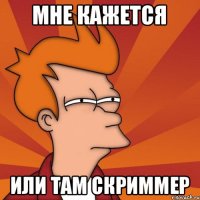 Мне кажется или там скриммер