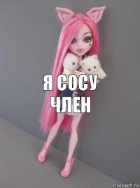 я сосу член