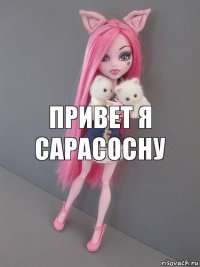 Привет я Сарасосну