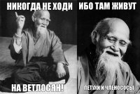 Никогда не ходи на ветлосян! Ибо там живут петухи и членососы