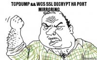 tcpdump && WCS ssl decrypt на port mirroring