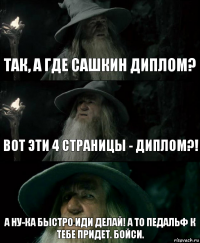 так, а где Сашкин диплом? вот эти 4 страницы - диплом?! А ну-ка быстро иди делай! А то Педальф к тебе придет. Бойси.