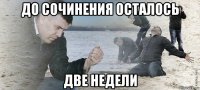 до сочинения осталось две недели