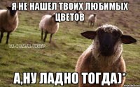 Я не нашел твоих любимых цветов А,ну ладно тогда)*