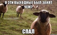 я эти выходные был занят чем? спал