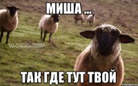 миша ... так где тут твой