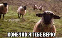  конечно я тебе верю