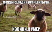 можем сегодня встретиться? извини,я умер