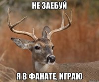 не заебуй я в фанате, играю