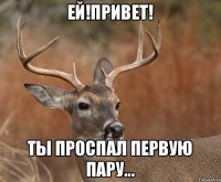 Ей!Привет! Ты проспал первую пару...