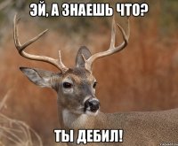 Эй, а знаешь что? Ты ДЕБИЛ!