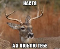 Настя а я люблю тебе