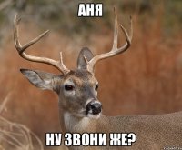 Аня ну звони же?