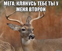 Мега, клянусь тебе ты у меня второй 