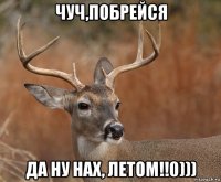 чуч,побрейся да ну нах, летом!!0)))