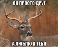 он просто друг а люблю я тебя