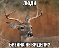 люди брейна не видели?