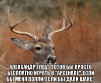  александр глеб: "готов бы просто бесплатно играть в "арсенале". если бы меня взяли, если бы дали шанс"