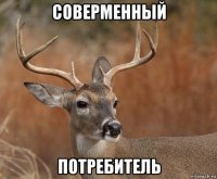 соверменный потребитель