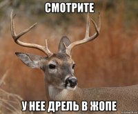 смотрите у нее дрель в жопе