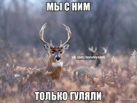 Мы с ним только гуляли