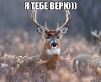 Я тебе верю)) 